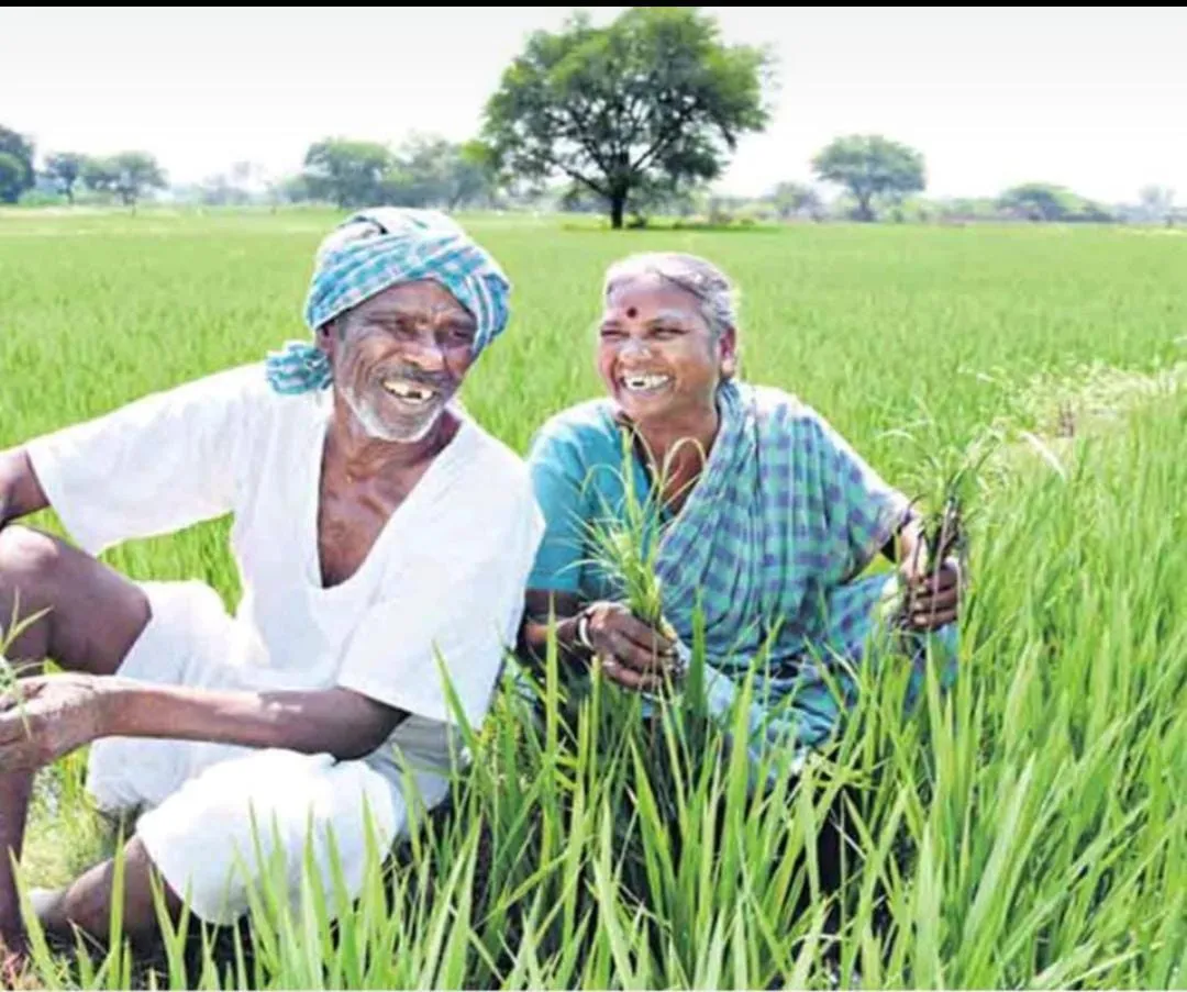 WhatsApp Image 2024-07-25 at 17.03.34_44cf3903