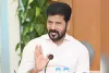 2029 వరకు తెలంగాణలో నేనే రాజు.. నేనే మంత్రి