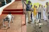 తిరుమల నడకమార్గంలో AI రోబోట్‌ డాగ్‌