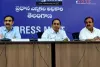 తెలంగాణలో SIR ప్రక్రియలో భారీ మార్పులు.. 73.39 లక్షల ఓట్లు డ్రాఫ్ట్‌ జాబితా నుంచి తొలగింపు