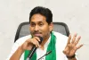 ఆగస్టు 5న దేవరపల్లిలో జగన్ పర్యటన.. పొగాకు రైతులతో ముఖాముఖి