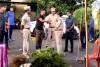 జైనూర్‌లో భారీగా గంజాయి మొక్కలు స్వాధీనం