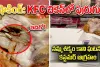 కేఎఫ్‌సీ ప్రియులకు షాకింగ్.. చికెన్‌లో పురుగు...ఎక్క‌డ అంటే?
