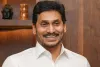 రేపు కర్నూలుకు వైఎస్ జగన్.. ఎస్వీ మోహన్‌రెడ్డి కుమారుడి వివాహ రిసెప్షన్‌కు హాజరు