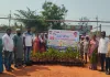 నర్సరీ పనులను పర్యవేక్షించిన ఎండిఓ 