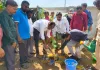 ఘనంగా ప్రపంచ పర్యావరణ దినోత్సవం 
