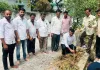 మొక్కలు నాటిన మాజీ కూడా చైర్మన్ సుందర్ రాజ్ యాదవ్