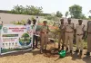 మొక్కలు నాటిన ఎఫ్ ఆర్ వో విజయలక్ష్మి