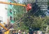 రోడ్డుకు అడ్డుగా ఉన్న చెట్టు తొలగింపు