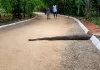 కేబీఆర్ పార్క్‌లో భారీ కొండచిలువ కలకలం