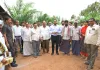 పామాయిల్ తోటలతో సిరుల పంట