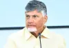 చెన్నైకి సీఎం చంద్రబాబు.. సదరన్ జోనల్ కౌన్సిల్ సమావేశానికి హాజరు