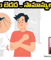 దోమల బెడద .. సామాన్యుల బాధ 