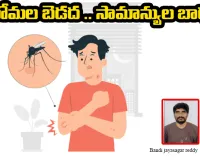దోమల బెడద .. సామాన్యుల బాధ 