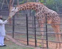 విశాఖ జూలో డిప్యూటీ సీఎం పవన్ సందడి