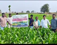 వ్యవసాయ అధికారుల క్షేత్రస్థాయి పరిశీలన 