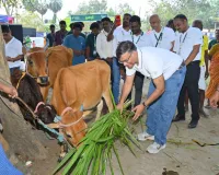 ఘనంగా పశు వికాస్ దినోత్సవం