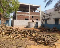 స్కూల్ ఆవరణంలోని  చెట్ల నరికివేత 