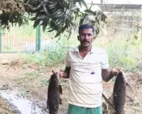 సమీకృత సాగుతో ఆరోగ్యం 