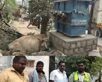 విద్యుదాఘాతంతో ఆవు మృతి 