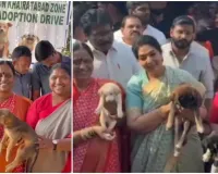 దేశీ కుక్క పిల్లలను దత్తత తీసుకోండి: మంత్రులు