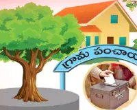 పంచాయతీలకు ప్రభుత్వం గుడ్‌న్యూస్.. రూ.250 కోట్ల నిధులు విడుదల
