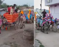 కళ్యాణోత్సవాల్లో వాహన ప్రదక్షిణలు