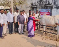 మెగా పశువైద్య శిబిరం