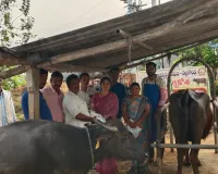 బొజ్జగూడెంలో పశువైద్య శిబిరం 