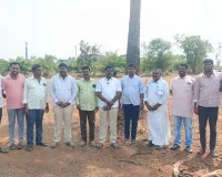 తాటి చెట్ల నరకివేత 