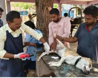 పిన్నింగ్ తో విరిగిన ఎముకలకు చికిత్స 