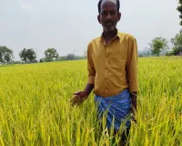 వడగండ్ల వానతో కోతకు వచ్చిన వరిపంట భారీగా నష్టం