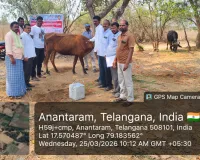 గాలికుంటు వ్యాధి నివారణ టీకాలు వేయించాలి