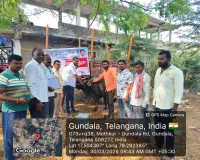 పశువులకు టీకాలు వేయించాలి