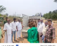 వెల్లంకిలో కోతుల నివారణకు చర్యలు