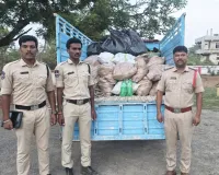 ఇసుక ట్రాక్టర్లు, నల్లబెల్లం పట్టుకున్న పోలీసులు