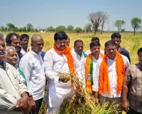 నష్టపోయిన రైతులను ఆదుకోవాలి: దినేష్​ కులాచారి