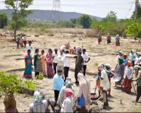 ఉపాధి హామీ పనులను పరిశీలించిన ఎంపీడిఓ  