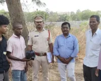 గంజాయి స్వాధీనం 
