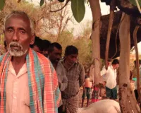 పిడుగు పాటుతో మూడు  కాడెడ్లు మృతి 