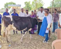 మెగా పశు వైద్య శిబిరం 
