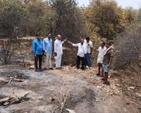 అగ్ని ప్రమాదంలో దగ్ధమైన నిమ్మతోట