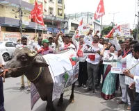 దున్నపోతుతో ఆటో ర్యాలీ.. పెట్రోల్, డీజిల్ ధరలపై నిరసన