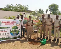 మొక్కలు నాటిన ఎఫ్ ఆర్ వో విజయలక్ష్మి