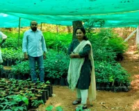 సంగెం గ్రామ నర్సరీలను పరిశీలించిన జిల్లా పరిషత్ సి ఈ ఓ