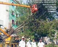 రోడ్డుకు అడ్డుగా ఉన్న చెట్టు తొలగింపు