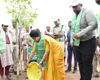 జిల్లాలో ఘనంగా వన మహోత్సవం 
