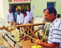 తహసిల్దార్ కార్యాలయంలో వినూత్న నిరసన తెలిపిన రైతు