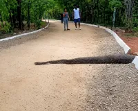 కేబీఆర్ పార్క్‌లో భారీ కొండచిలువ కలకలం