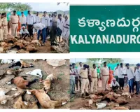 బోయలపల్లిలో గొర్రెల మందపై చిరుత దాడి.. అప్రమత్తంగా ఉండాలని అటవీశాఖ హెచ్చరిక